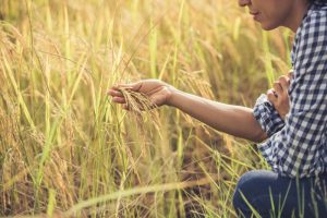 Mujeres rurales: la lucha silenciosa por la igualdad en el campo correntino