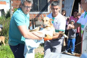 El Municipio intervino por un caso de maltrato animal: Jack fue rescatado y recibe atención veterinaria