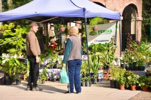 Productos frescos y artesanías en plazas y paseos: dónde comprar productos locales