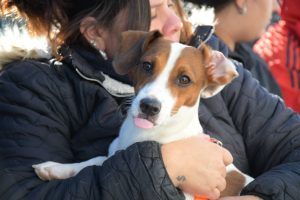 Mascotas Saludables acompañará los recorridos en los barrios capitalinos durante junio