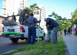 Arbolado urbano, biodiversidad y tecnología, ejes de la agenda municipal para la Semana del Árbol