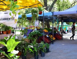 Nueva agenda de las Ferias de la Ciudad en plazas, parques y espacios públicos para esta semana